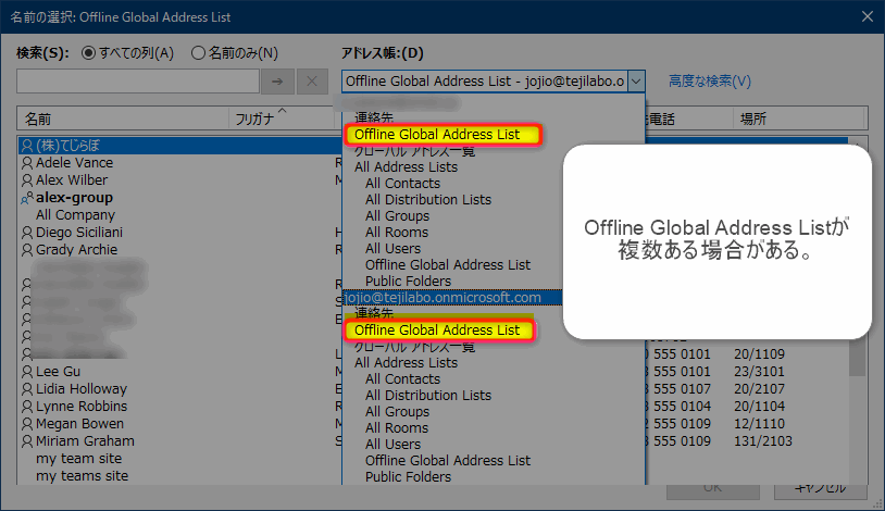 OutlookVBA Offline global address list